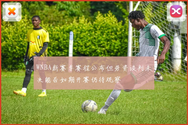 WNBA新赛季赛程公布但劳资谈判未决能否如期开赛仍待观察